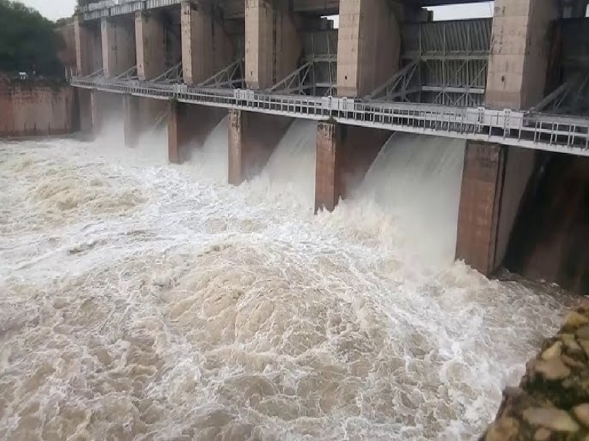 Karauli News: भारी बारिश के चलते फिर लबालब हुआ पांचना बांध, खोलने पड़े 3 गेट Karauli News: भारी बारिश के चलते फिर लबालब हुआ पांचना बांध, खोलने पड़े 3 गेट