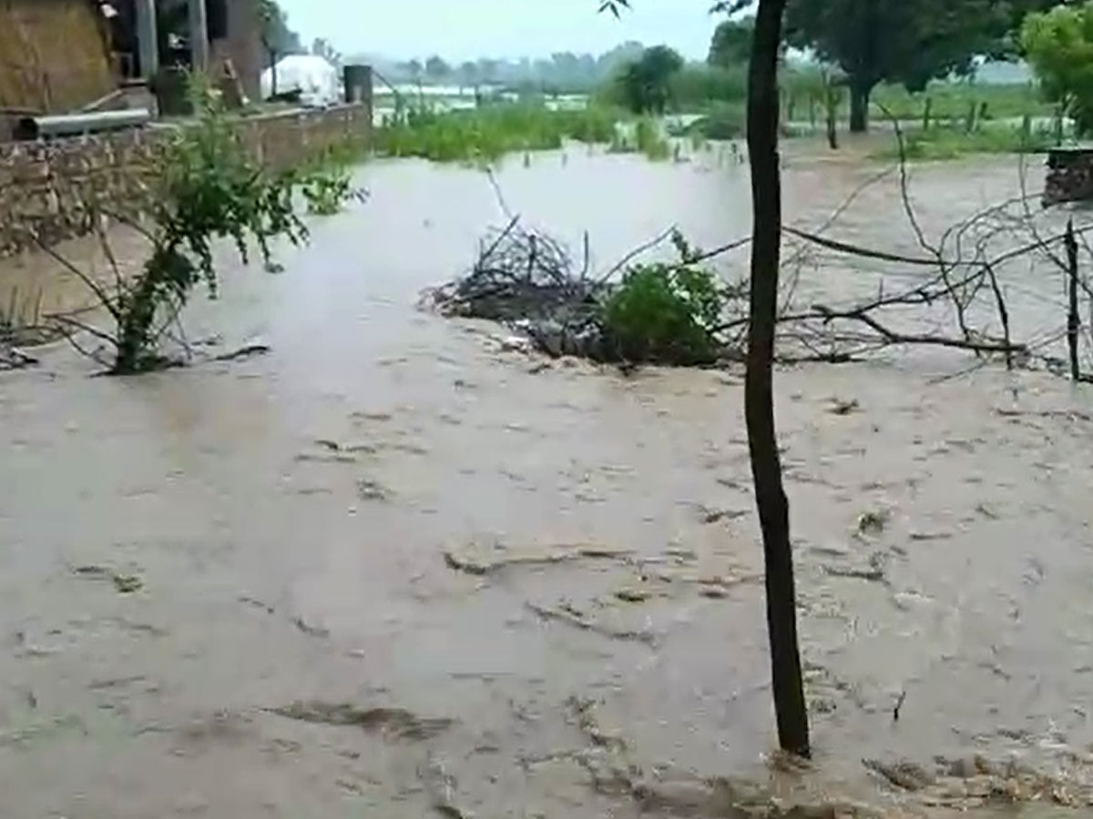 alwar news torrential rain havoc in kherli water logging at many places