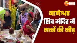 भक्तों ने नाग देवता को चढ़ाया दूध, शिव मंदिर में पूजा-अर्चना करते दिखे लोग 