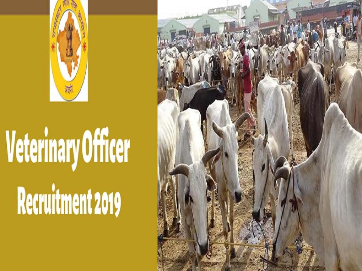 Rajasthan News: सूटेबल की परिभाषा क्या ? RPSC की चयन प्रक्रिया पर खड़े हुए सवाल