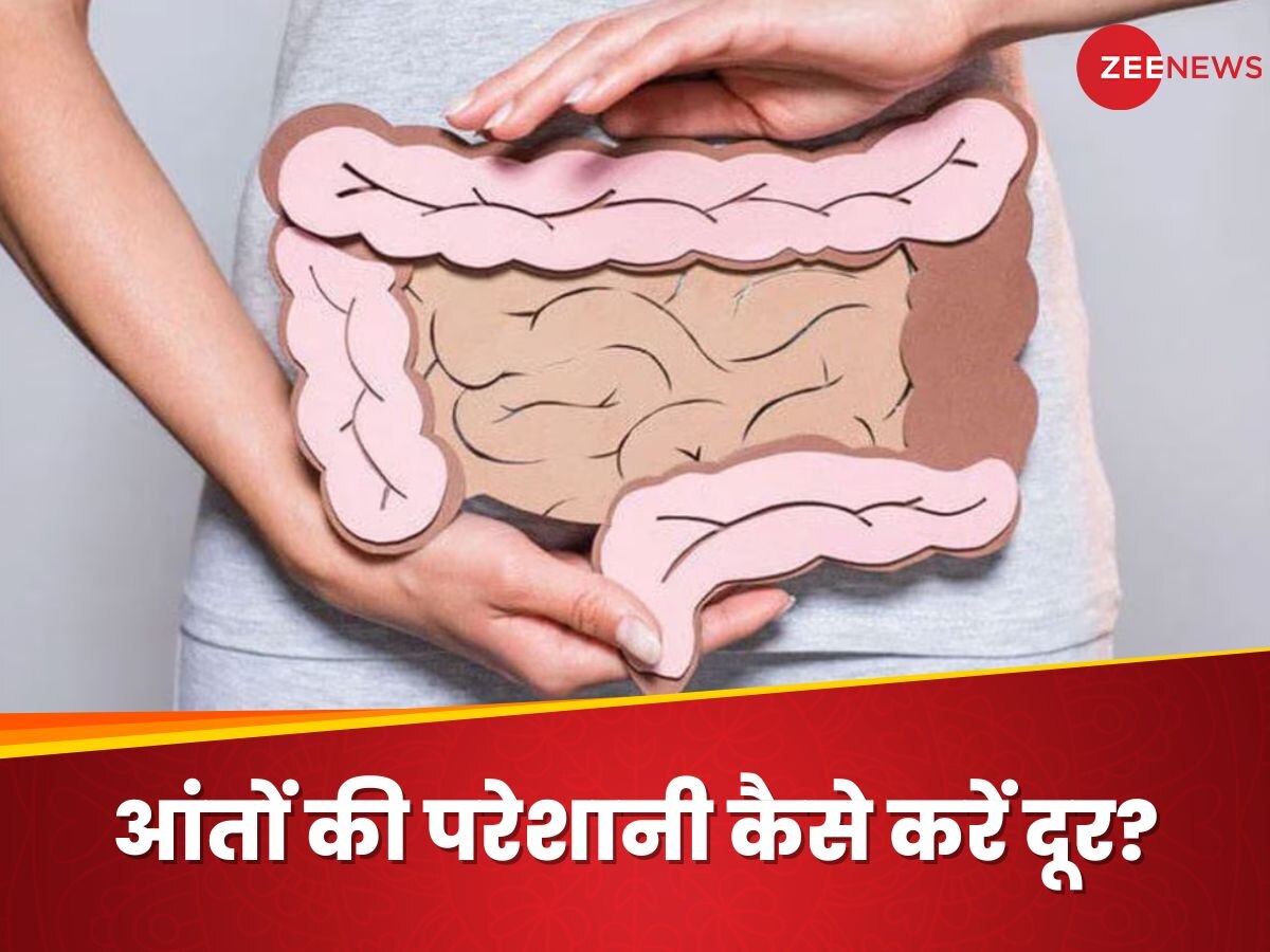 Unhealthy Intestine: बीमार आंतों के कारण खराब होता है डाइजेशन, इन आदतों को अपनाकर हाजमा करें दुरुस्त