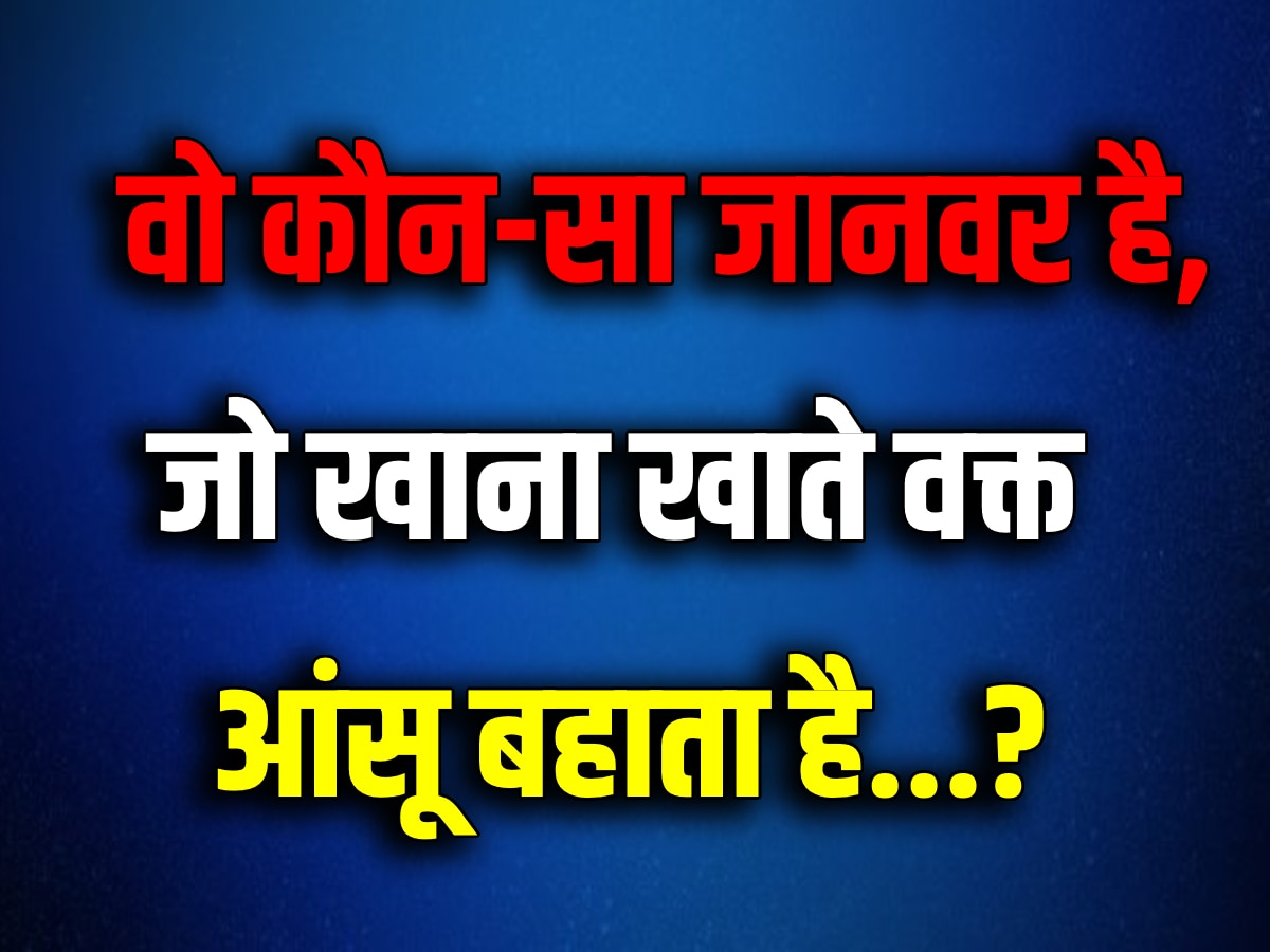 GK Quiz: वो कौन-सा जानवर है, जो खाना खाते वक्त 'रोता' है?