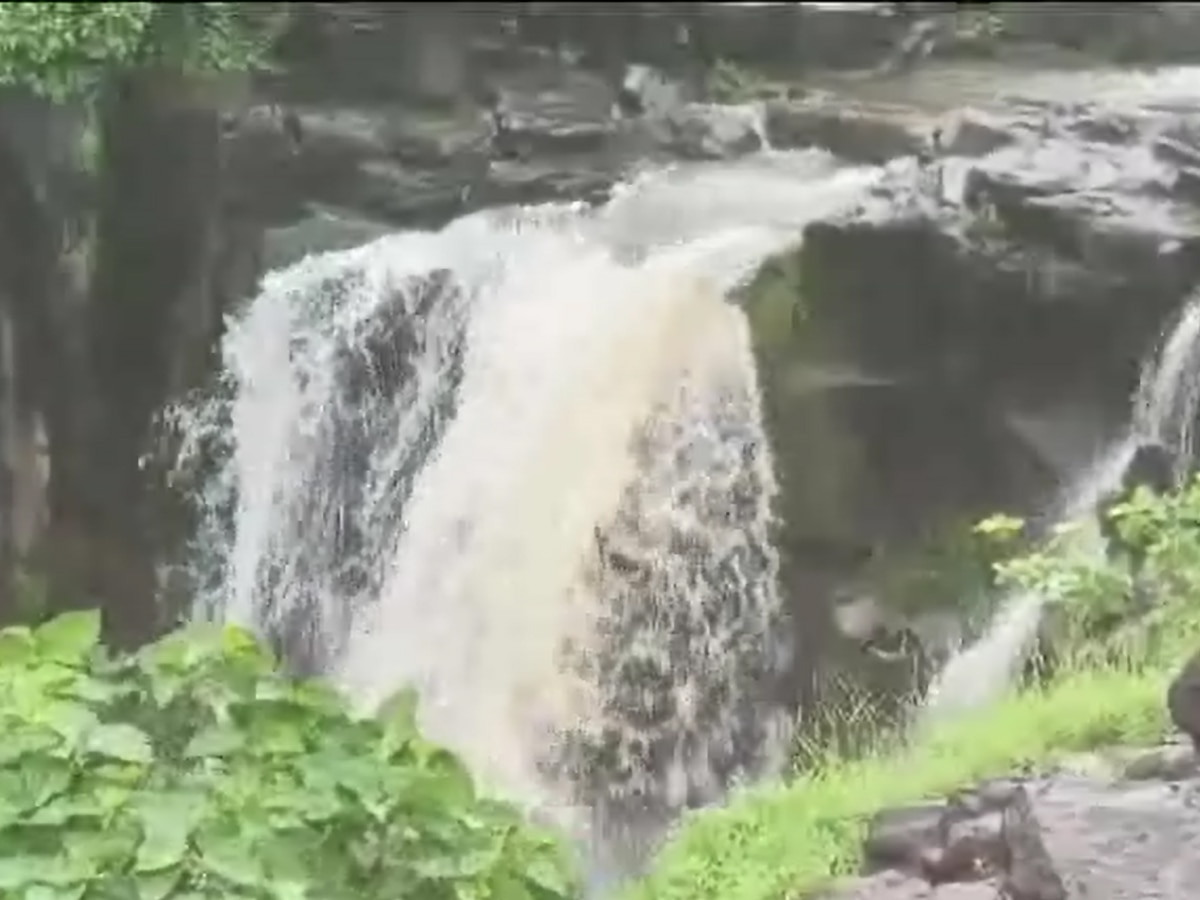 MP Beautiful Waterfalls : मानसून के मौसम में देखना हो दूध की बहती नदी, तो चले लिए मध्य प्रदेश, खूबसूरती देखकर हो जाएंगे मोहित