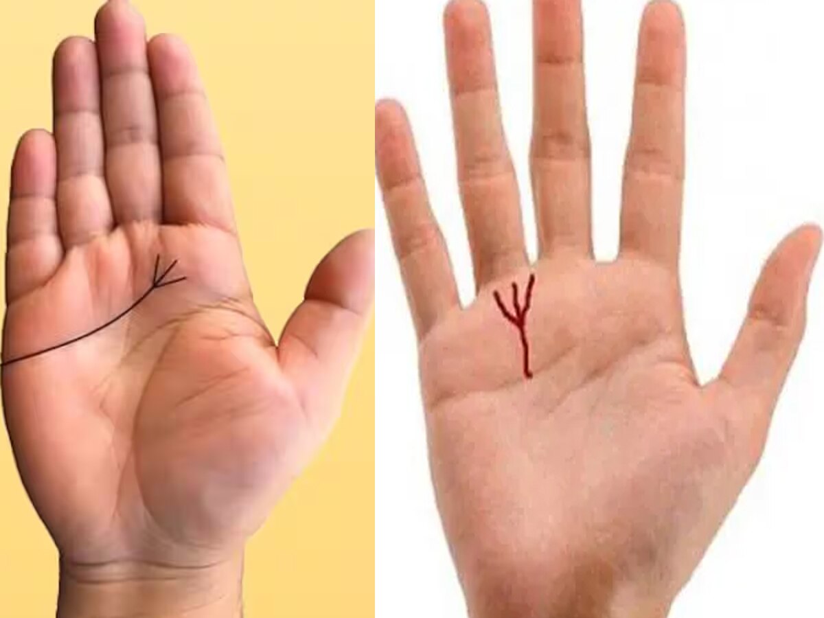 Palmistry