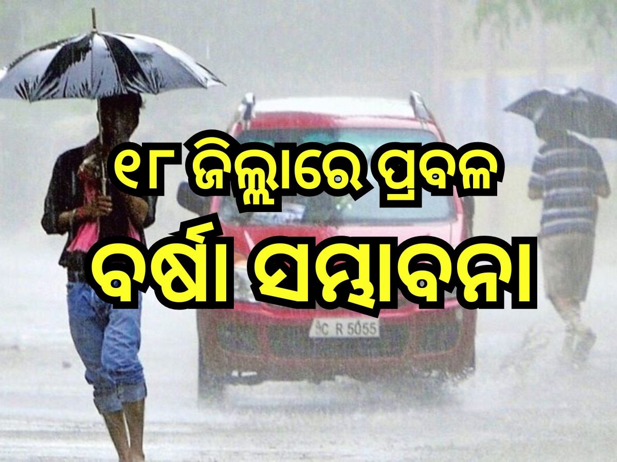 Weather Report: ଆଗାମୀ ୨୪ ଘଣ୍ଟାରେ ପ୍ରବଳ ବର୍ଷା ନେଇ ଏହିସବୁ ଜିଲ୍ଲାକୁ ୟେଲୋ ଆଲର୍ଟ ଜାରି