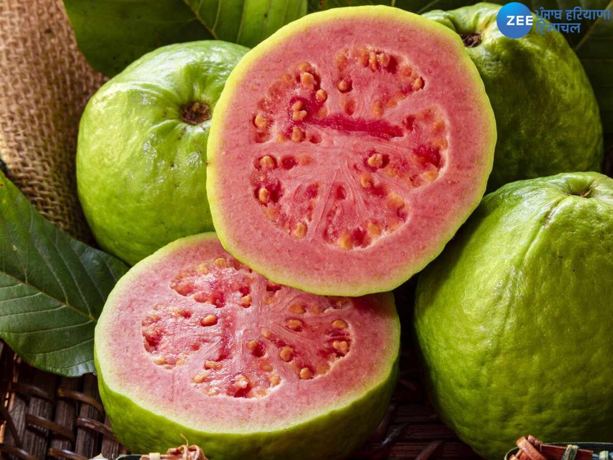 Guava Benefits: ਇਸ ਤਰੀਕੇ ਨਾਲ ਖਾਓ ਅਮਰੂਦ ਸਰੀਰ ਦੀਆਂ ਕਈ ਸਮੱਸਿਆਵਾਂ ਹੋਣਗੀਆਂ ਦੂਰ