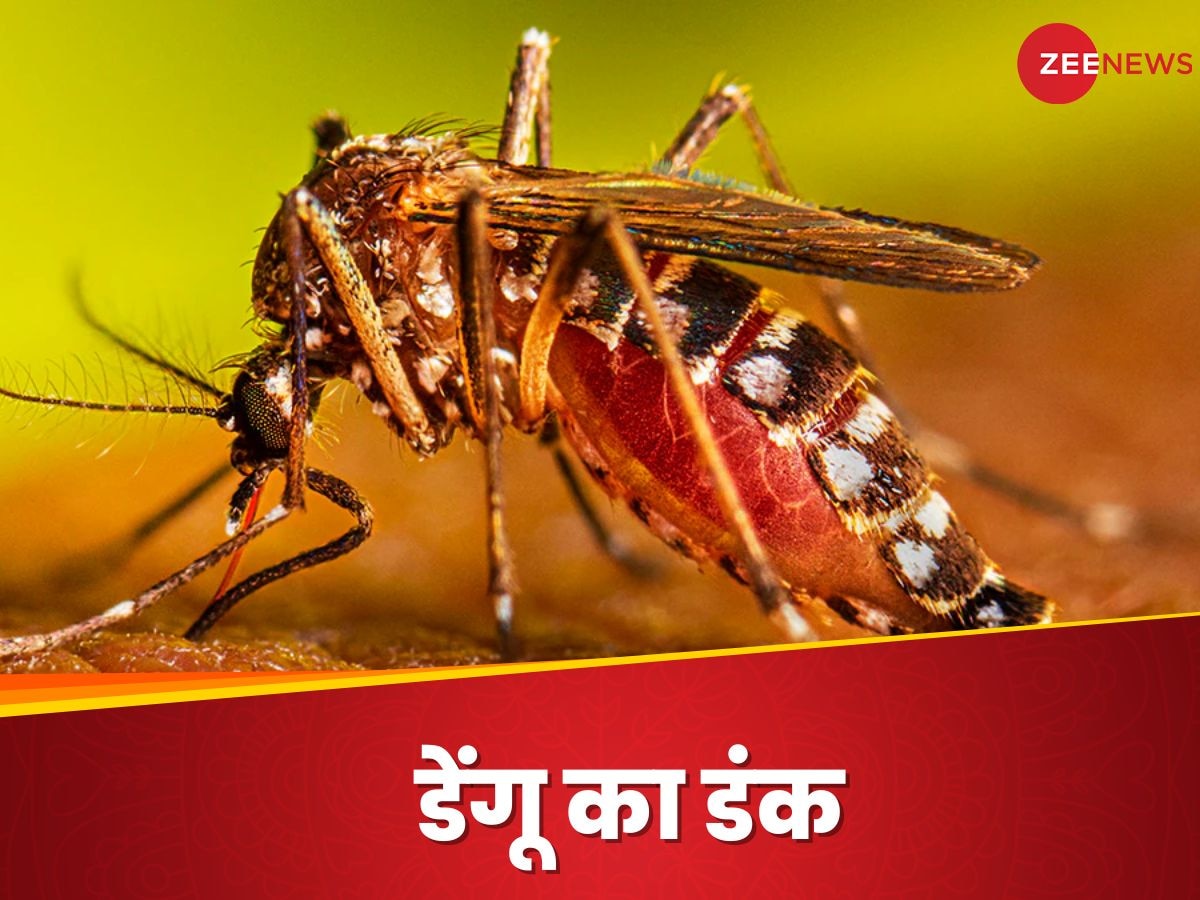 Dengue Fever: इस टीके की 2 खुराक से डेंगू का इफेक्‍ट होगा 50% कम, भारत में कब मिलेगी मंजूरी?