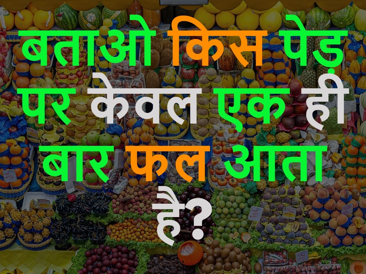 GK Quiz: बताओ किस पेड़ पर केवल एक ही बार फल आता है?