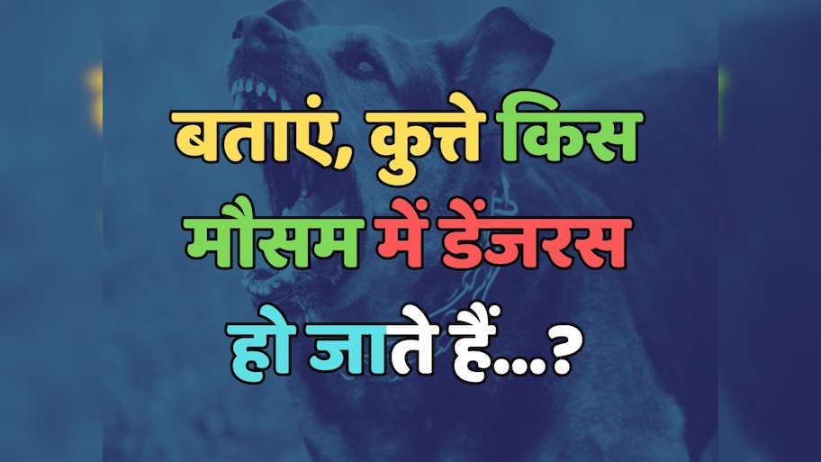 Trending Quiz : कुत्ते किस मौसम में डेंजरस हो जाते हैं? 