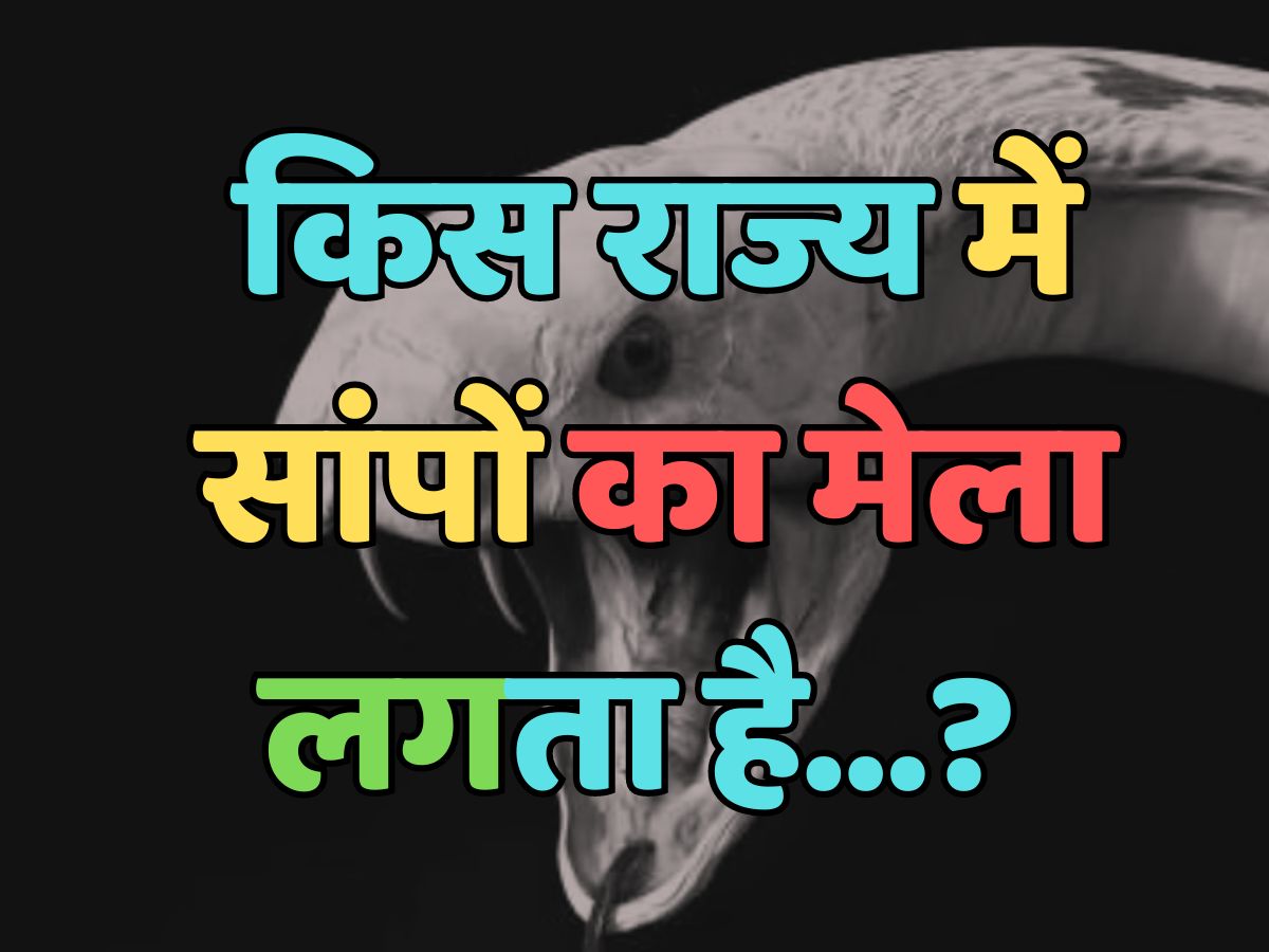 Trending Quiz : भारत के किस राज्य में सांपों का मेला लगता है? Trending Quiz : भारत के किस राज्य में सांपों का मेला लगता है?