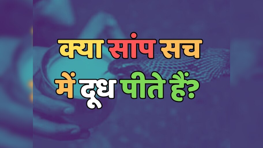 Trending Quiz : क्या सांप सच में दूध पीते हैं? 