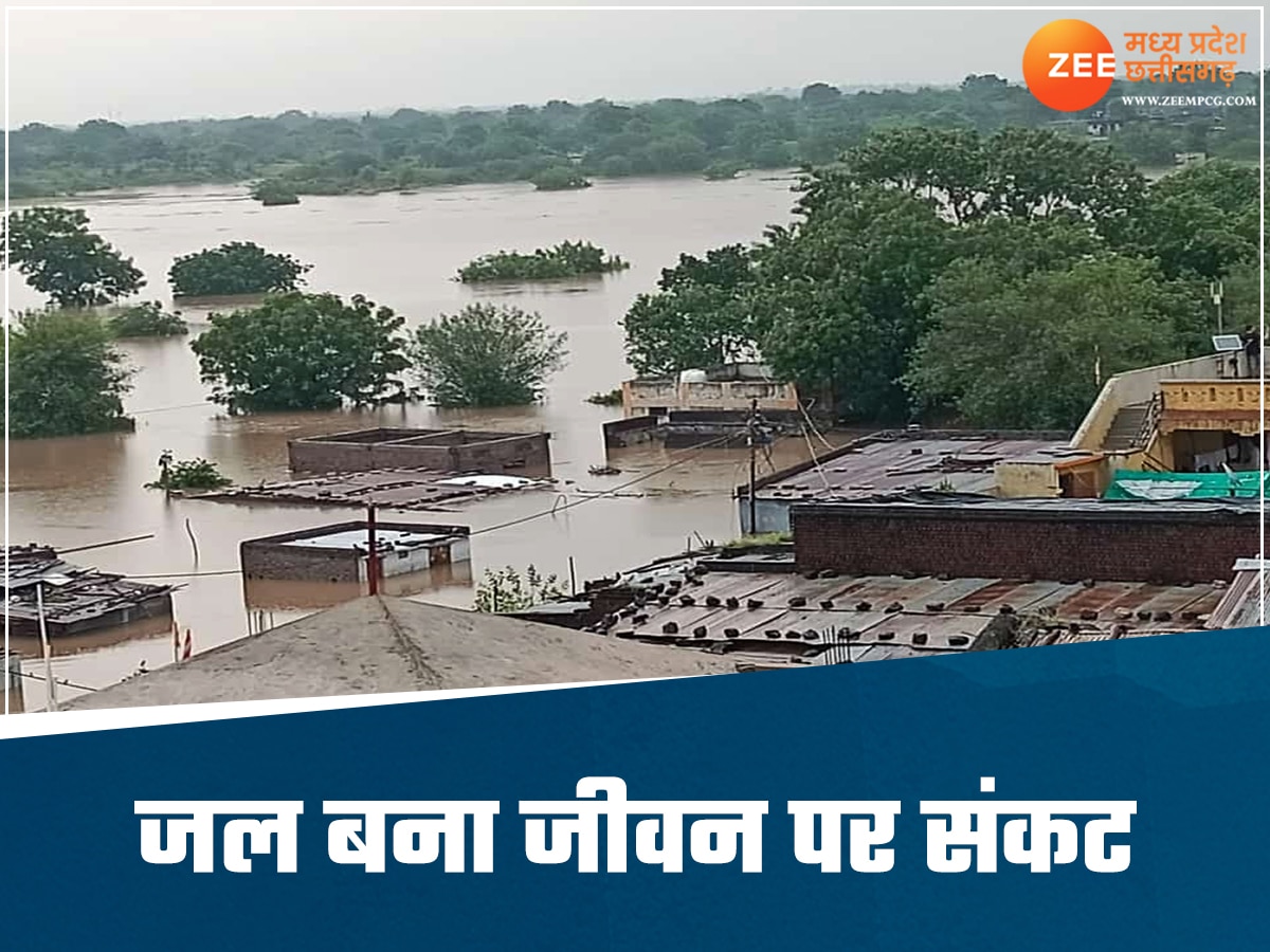 जहां देखो पानी ही पानी, नर्मदा नदी के बैक वाटर से टापू बने कई गांव, 250 से परिवारों पर संकट 