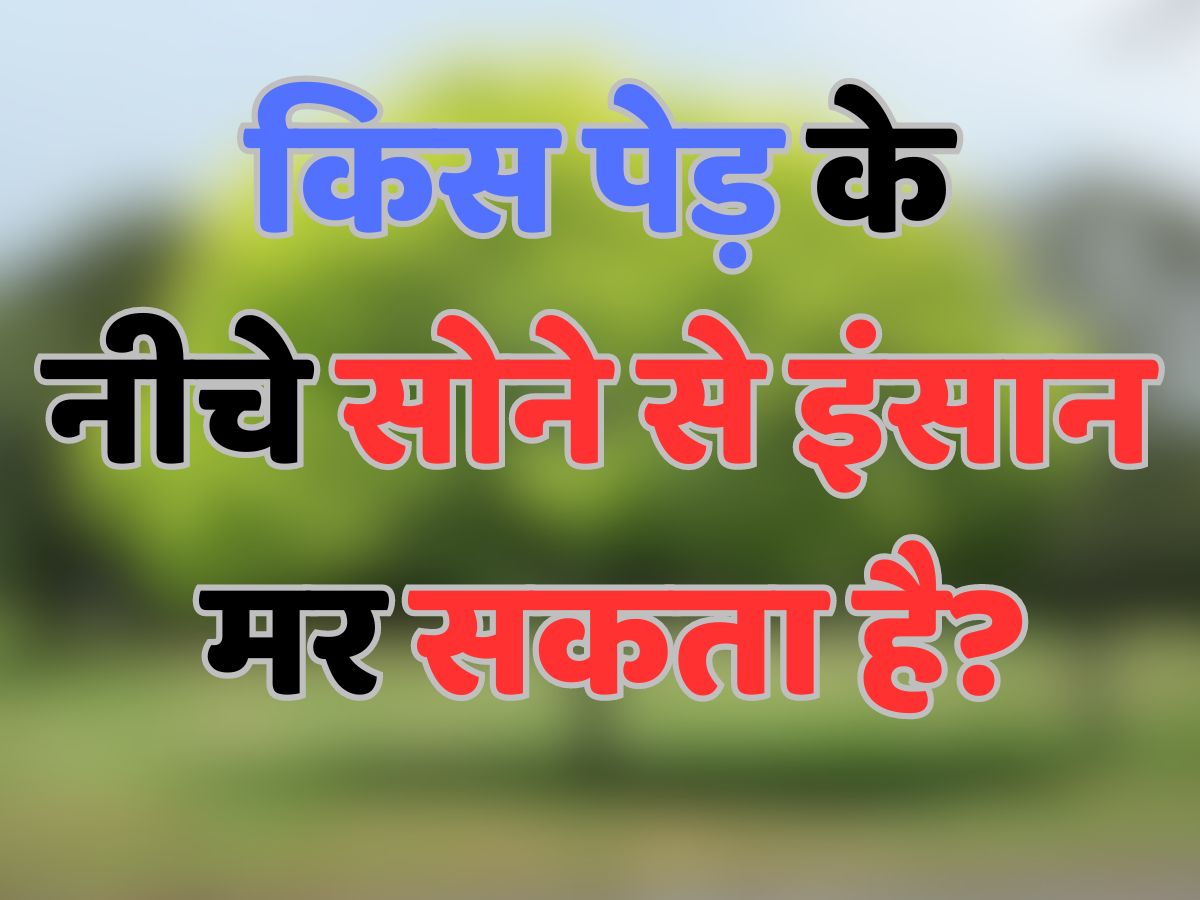 GK Quiz: किस पेड़ के नीचे सोने से इंसान मर सकता है?