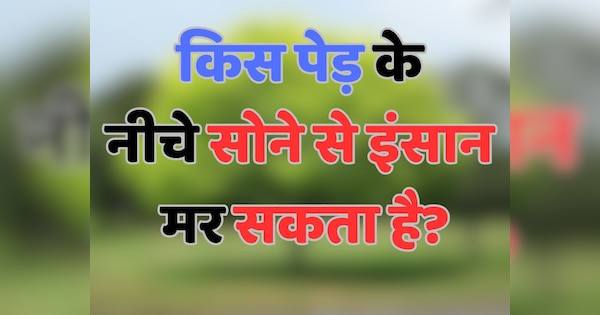 GK Quiz: किस पेड़ के नीचे सोने से इंसान मर सकता है?