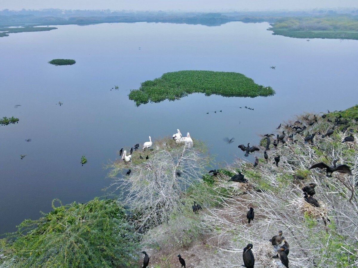 Wetlands in India