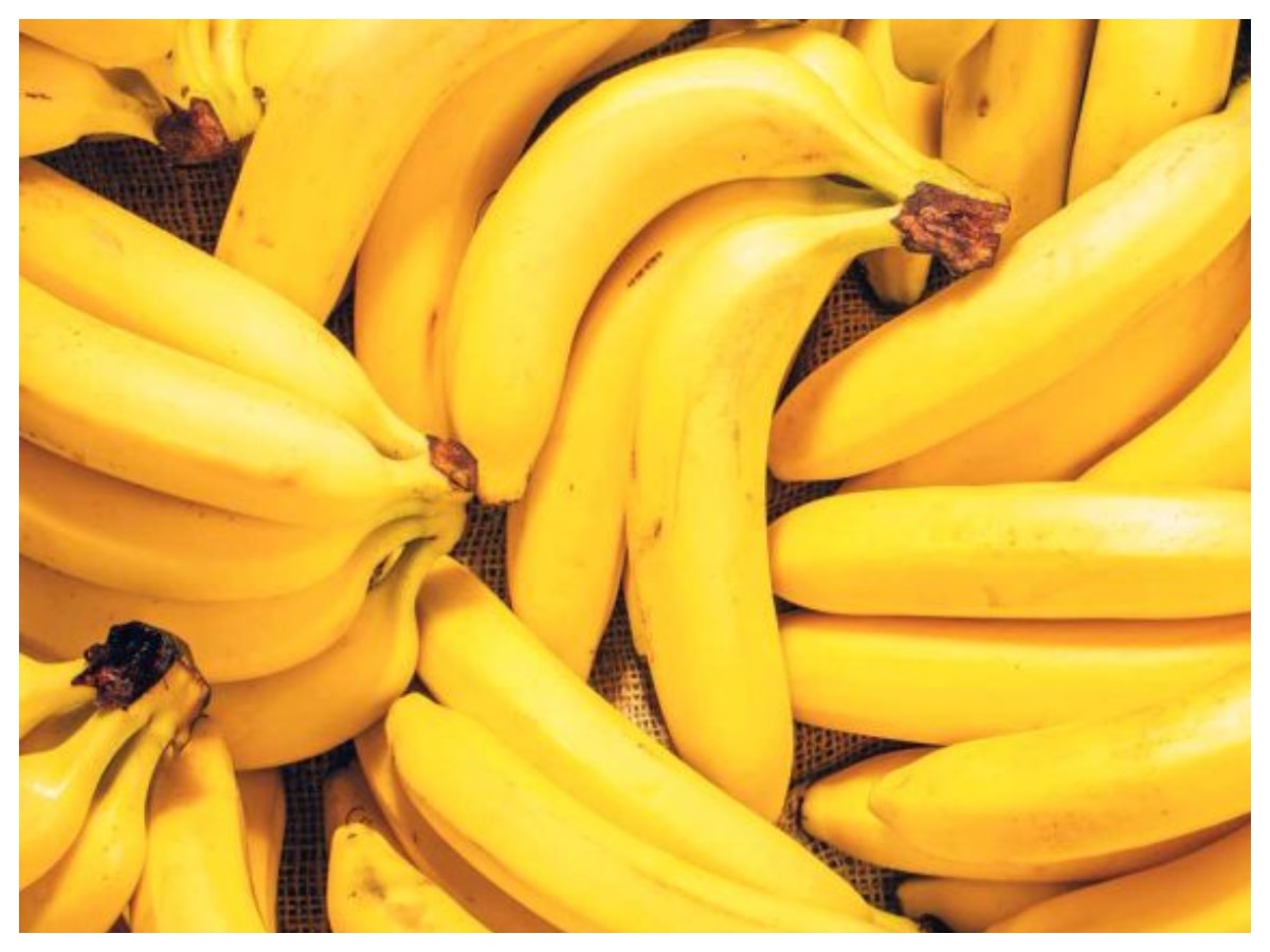 Benefits of Banana : रोज खाएं बस 1 केला, होंगे 5 फायदे