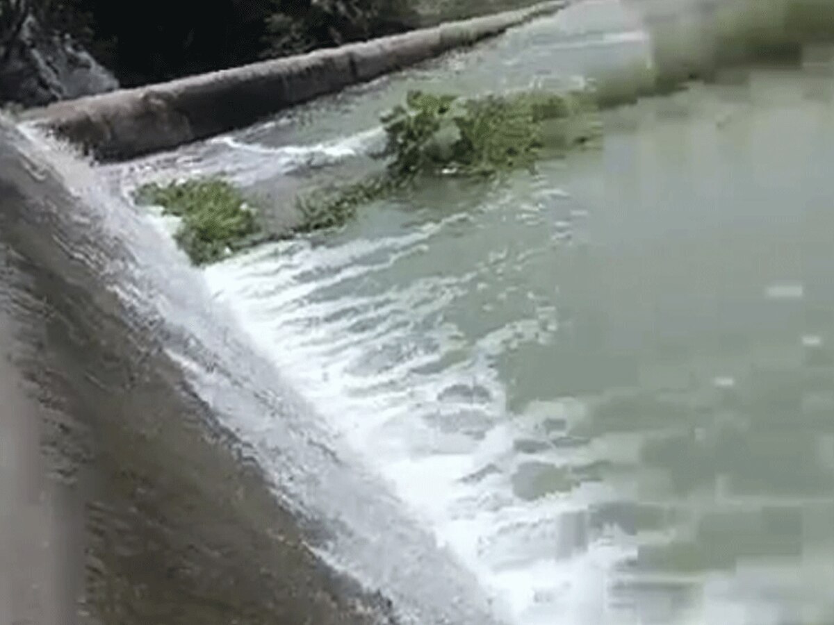 Sawai Madhopur News: मोरेल बांध से आई खुशखबरी, 5 साल बाद छलका क्षेत्र का सबसे बड़ा डैम