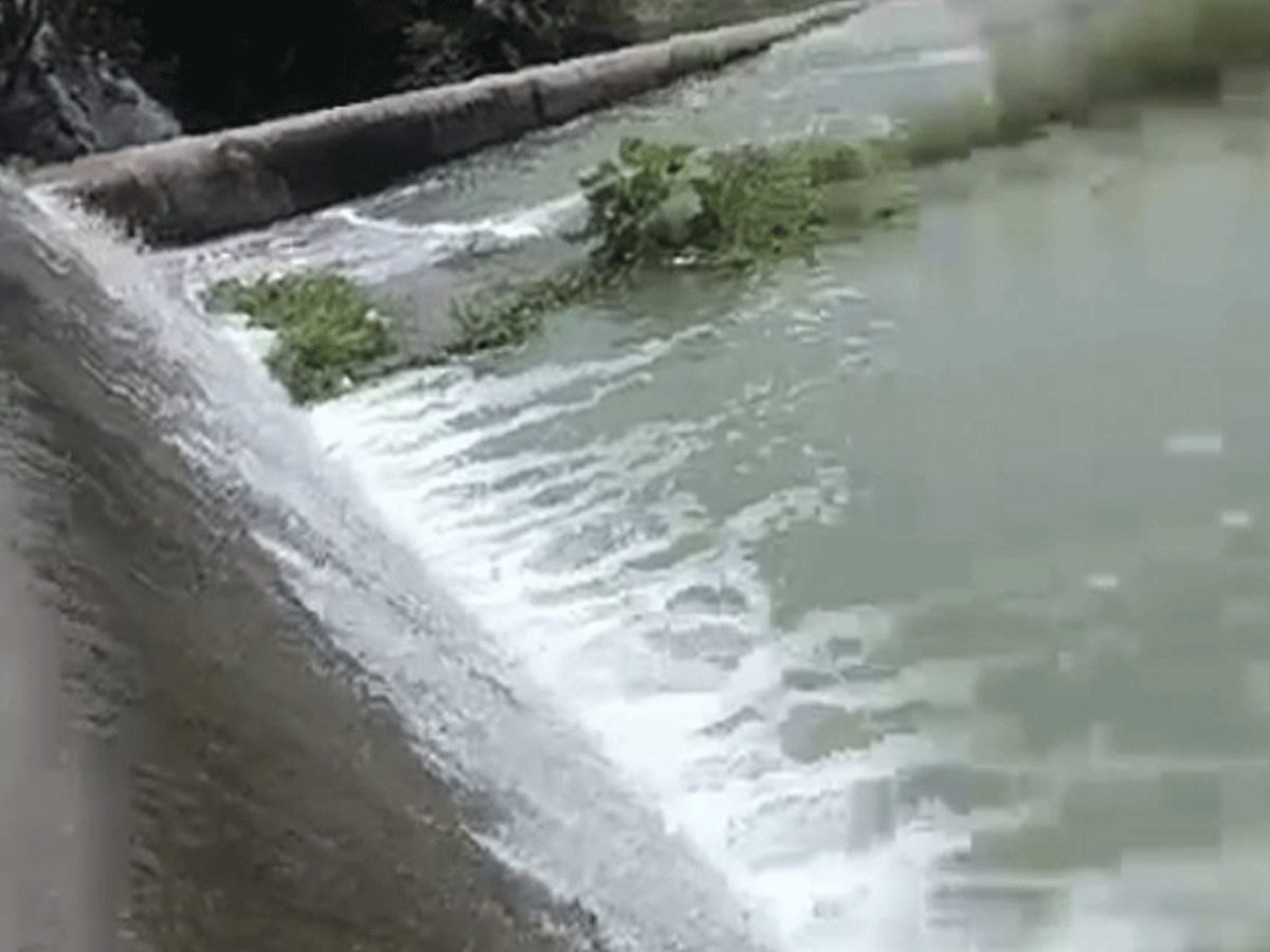 Sawai Madhopur News: मोरेल बांध से आई खुशखबरी, 5 साल बाद छलका क्षेत्र का सबसे बड़ा डैम Sawai Madhopur News: मोरेल बांध से आई खुशखबरी, 5 साल बाद छलका क्षेत्र का सबसे बड़ा डैम
