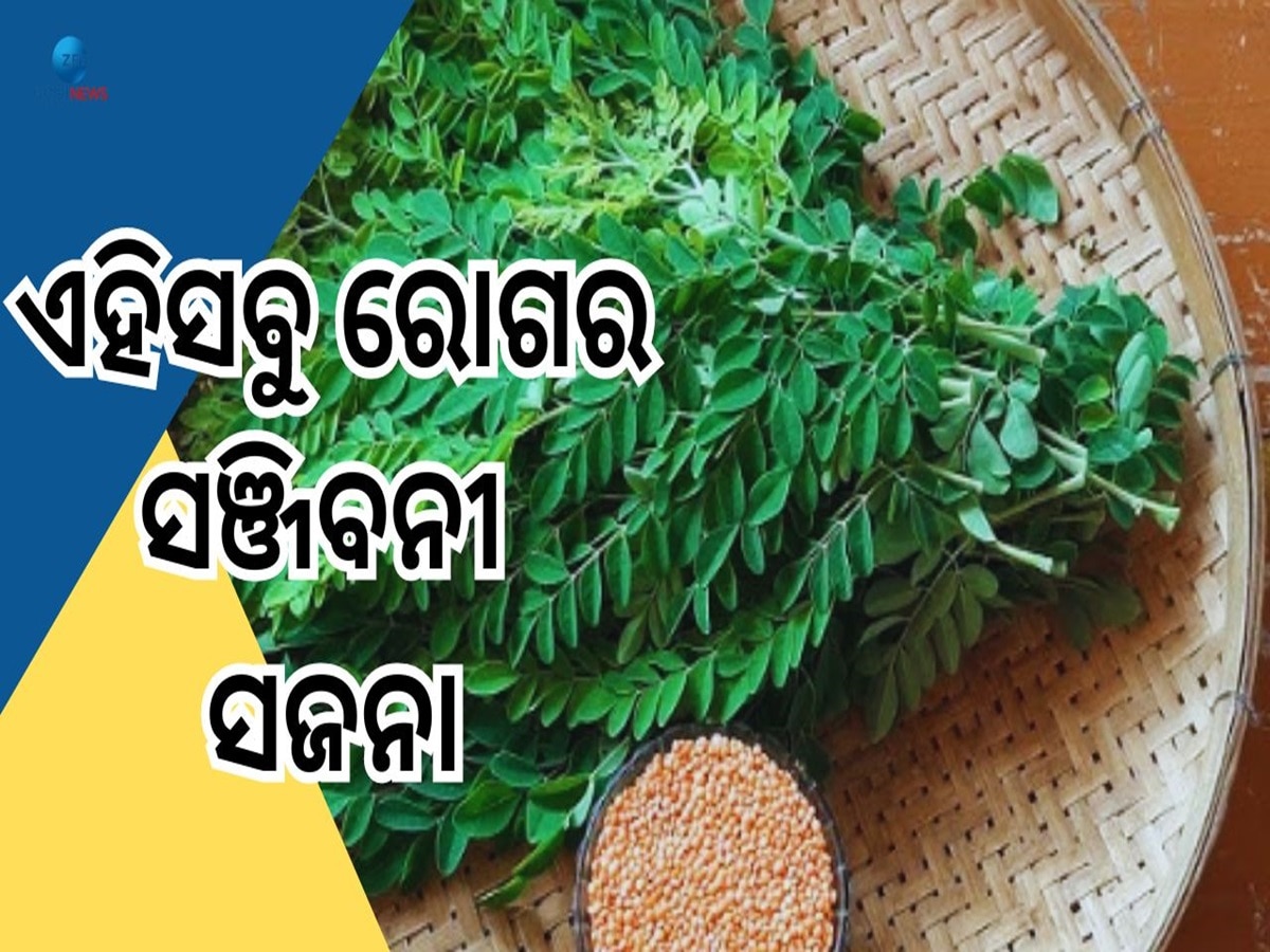 Sajana Saga Benefits: ସଜନା ଶାଗରେ ରହିଛି ଏହିସବୁ ପୋଷକ ତତ୍ତ୍ୱ, ଖାଇବା ମାତ୍ରେ ମିଳିଥାଏ ୫ଟି ବଡ଼ ଫାଇଦା 