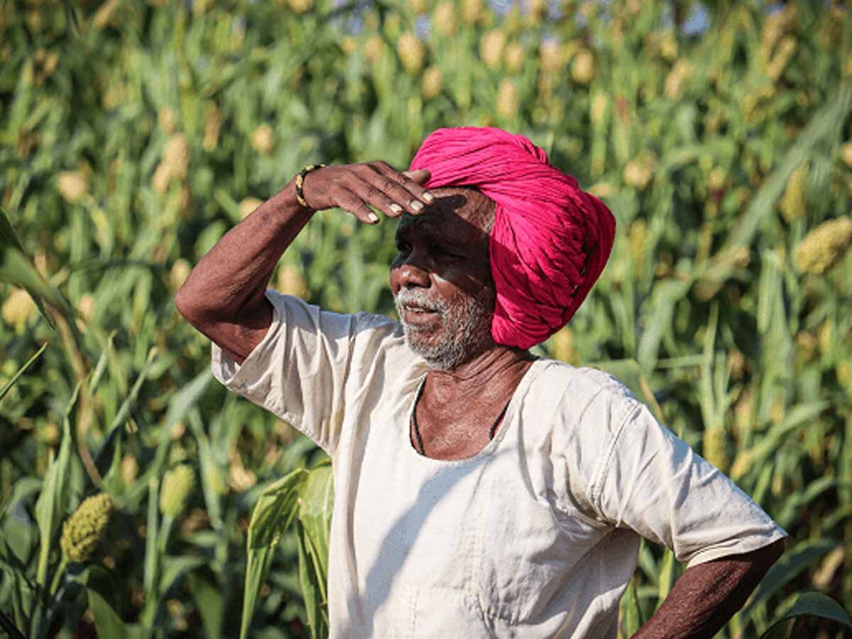 PM Kisan के बाद क‍िसानों के ल‍िए नई सौगात, केंद्रीय कृष‍ि मंत्री ने क‍िया बड़ा ऐलान; अगले महीने शुरू होगा प्रोग्राम