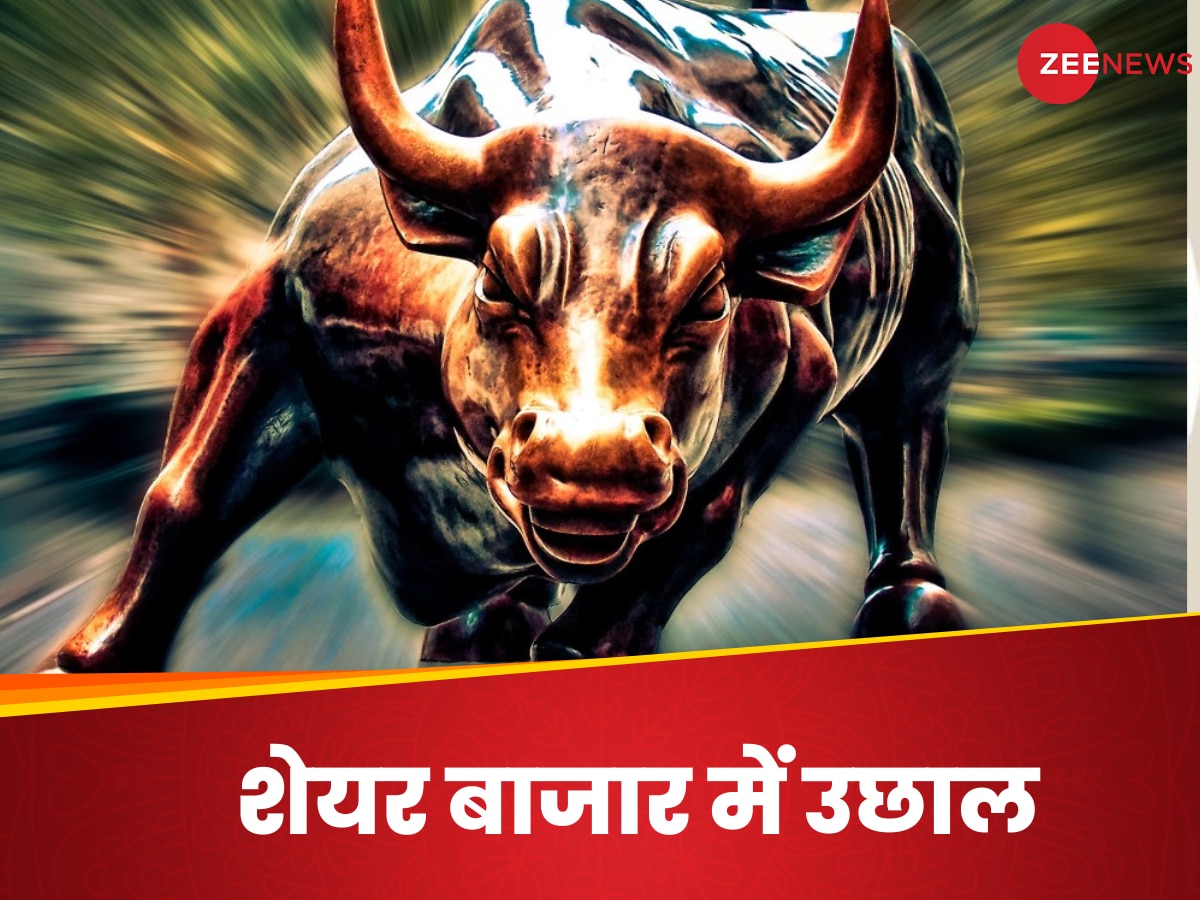 share market bull 