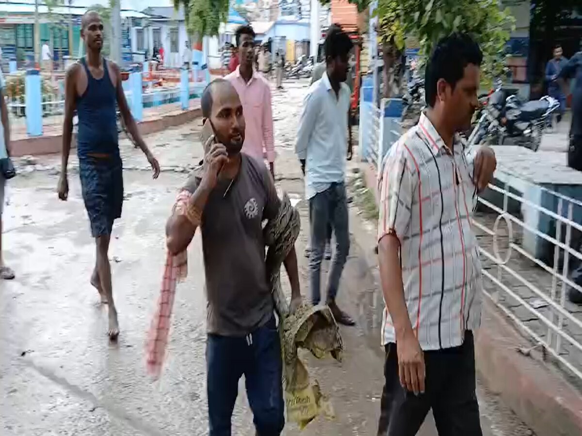 young man who went to catch python himself became victim then brother ...