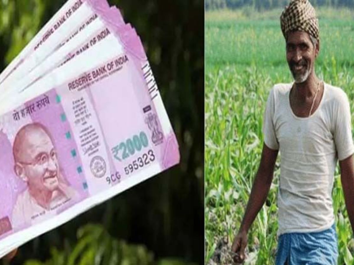 PM Kisan: कब आएगी किसानों के खाते में 2000 रुपये की किस्त? तय हुआ समय! एक और नया कार्यक्रम भी जल्द