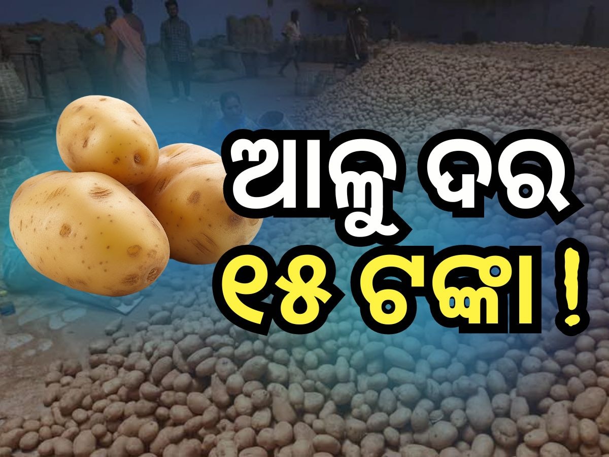 Potato Price: ଖାଉଟିଙ୍କୁ ମିଳିବ ୧୫ଟଙ୍କାରେ ଆଳୁ !