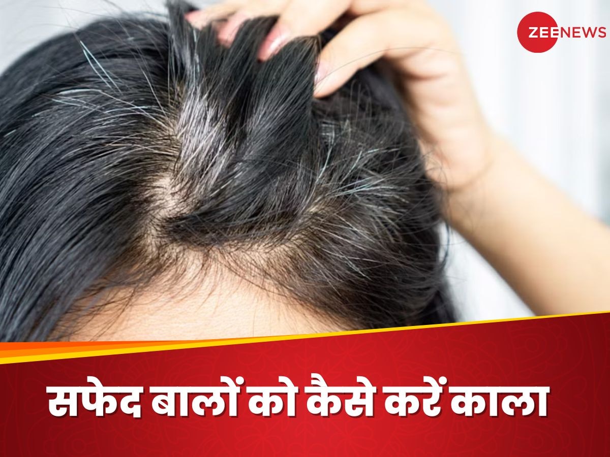 White Hair: 30 साल के हुए भी नहीं और सिर पर आ गए सफेद बाद, जानिए वापस कैसे पाएं काली जुल्फें