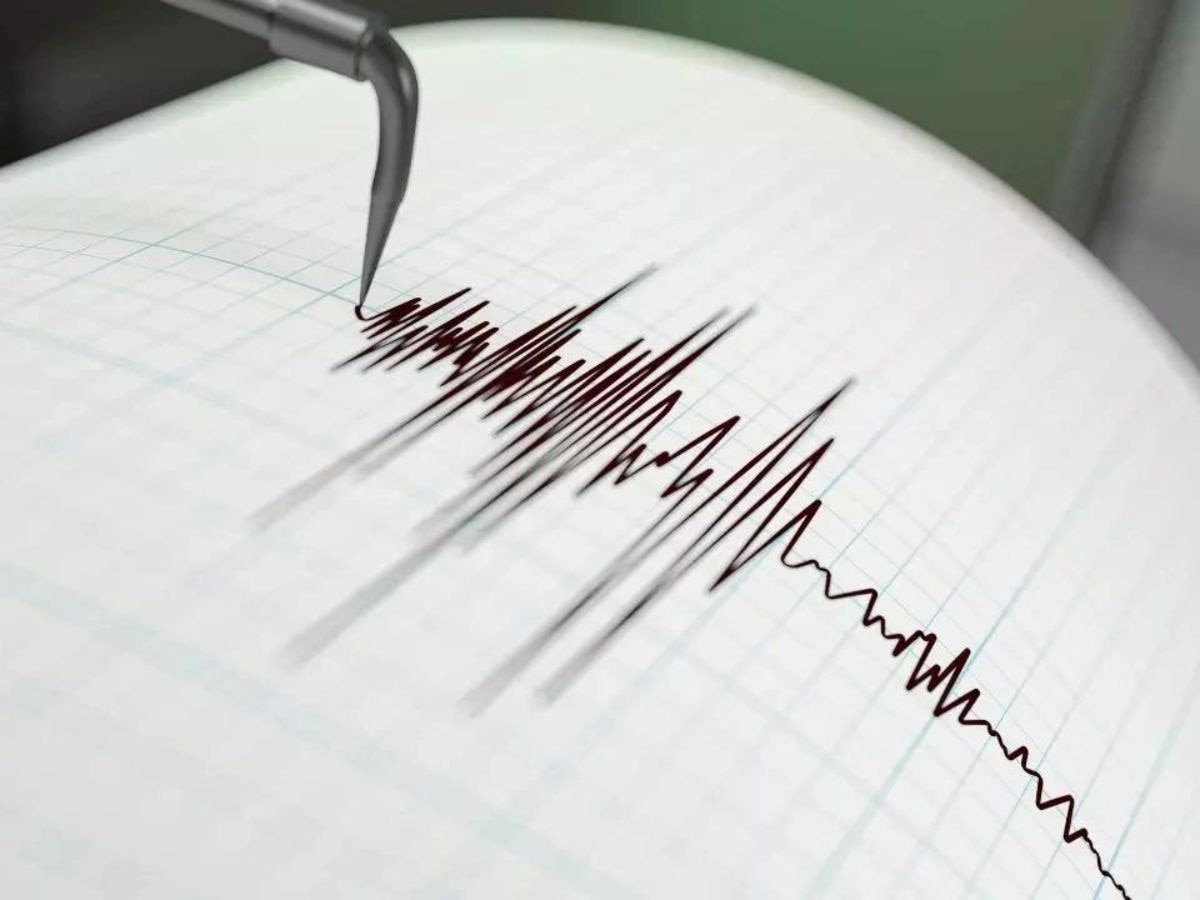 Earthquake: ପାଲଘରରେ ଭୂକମ୍ପ, ରିକ୍ଟର ସ୍କେଲରେ ତୀବ୍ରତା ୩.୩ ରେକର୍ଡ