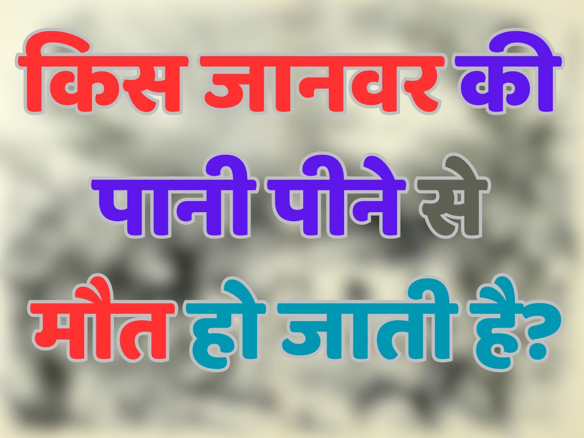 GK Quiz: किस जानवर की पानी पीने से मौत हो जाती है?