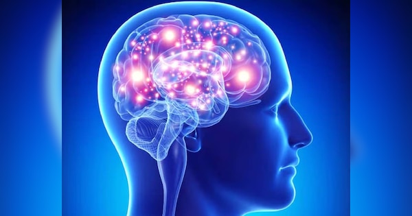 सुबह उठकर सबसे पहले करें ये काम, भूलने की आदत होगी दूर-कंप्यूटर जैसा तेज चलेगा ब्रेन