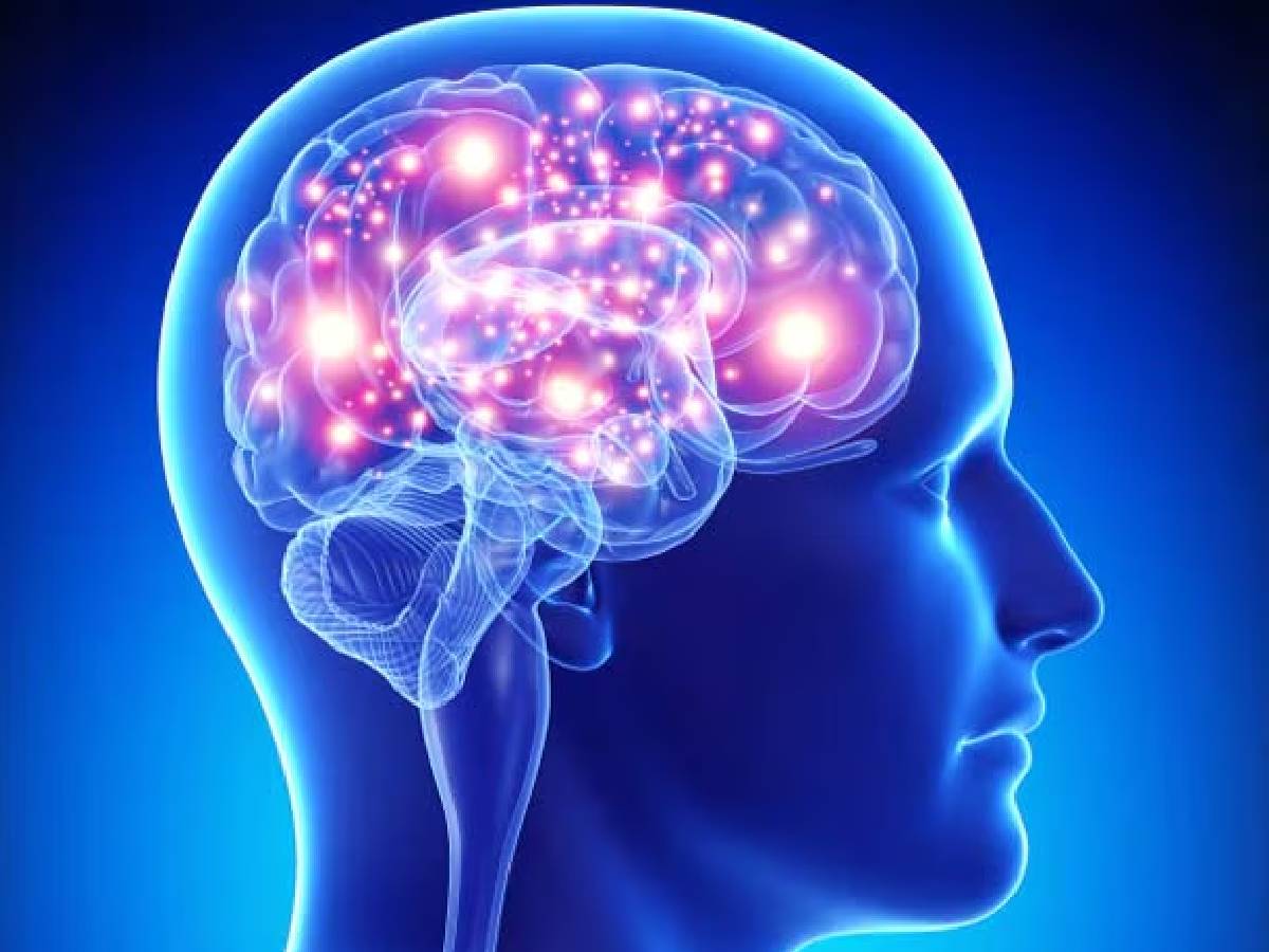 सुबह उठकर सबसे पहले करें ये काम, भूलने की आदत होगी दूर-कंप्यूटर जैसा तेज चलेगा ब्रेन