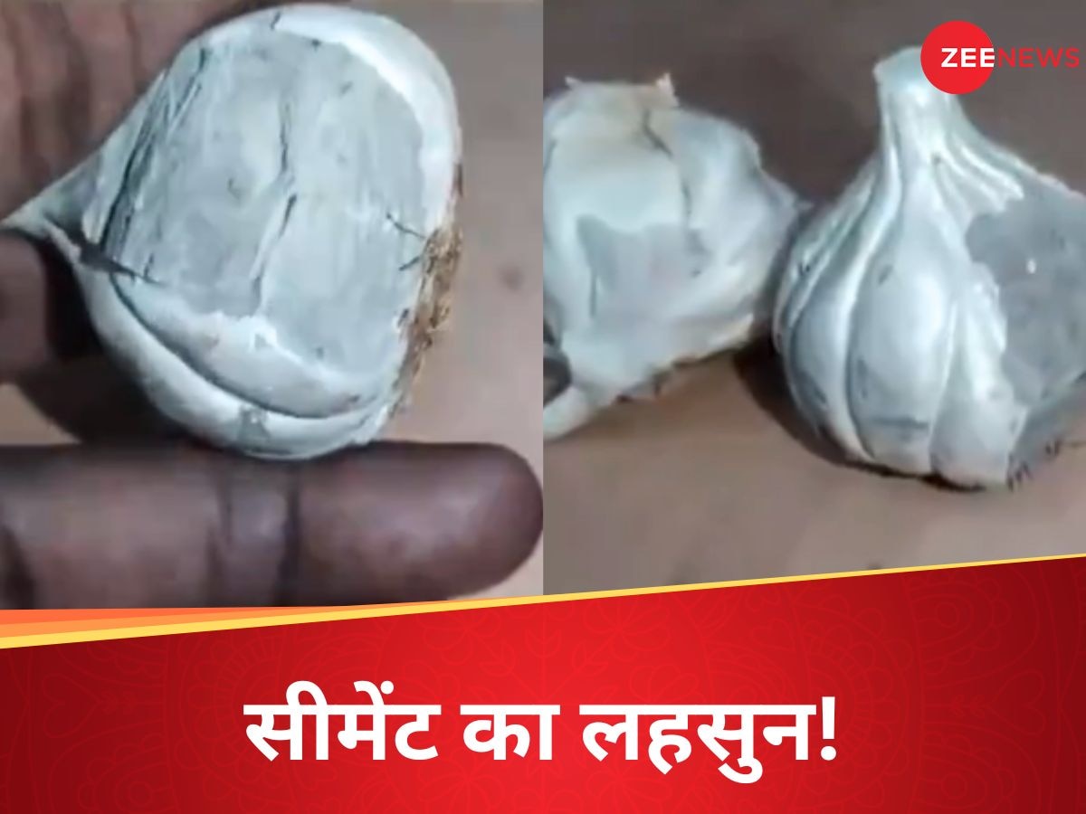 Lahsun Viral Video: हे भगवान, यही दिन देखना बाकी था... बाजार में बिक रहा सीमेंट से बना लहसुन!