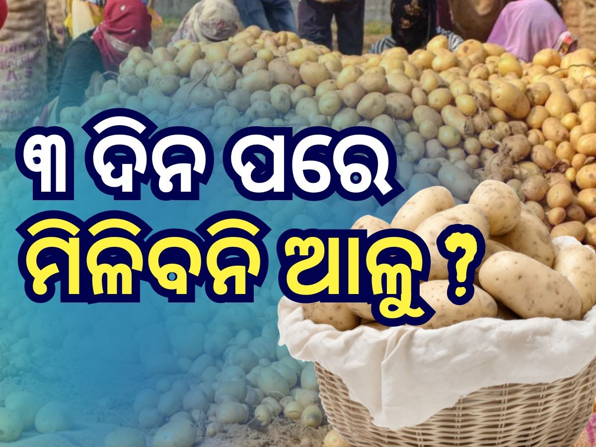 ୩ଦିନ ମଧ୍ୟରେ ରାଜ୍ୟରୁ ସରିଯିବ ଆଳୁ- ରାଜ୍ୟ ବ୍ୟବସାୟୀ ମହାସଂଘ