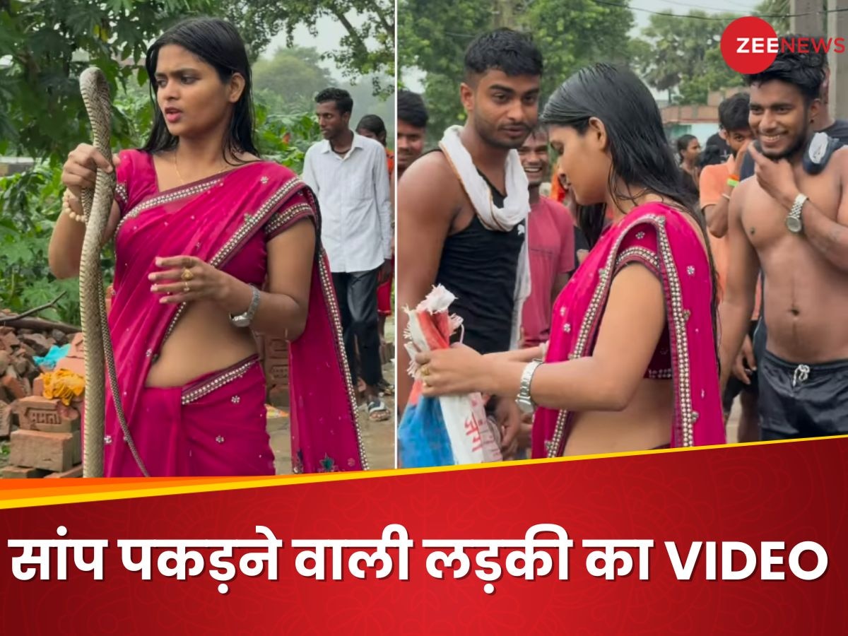 King Cobra Video: बारिश में भीगते हुए लाल साड़ी में आई बेखौफ लड़की, कोबरा संग ऐसे करने लगी मस्ती