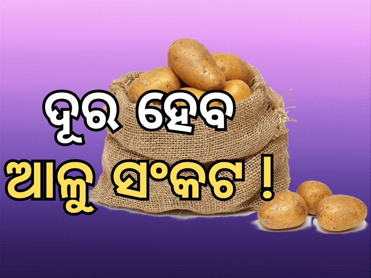 Potato Crisis: ଆସୁଛି ୪୮ ହଜାର କ୍ୱିଣ୍ଟାଲ ଆଳୁ, ଦୂର ହେବ ଆଳୁ ସଂକଟ