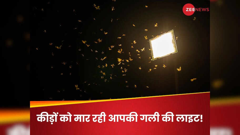 Science News: Streetlights Behind Starving Insects, Scientists Warn In ...