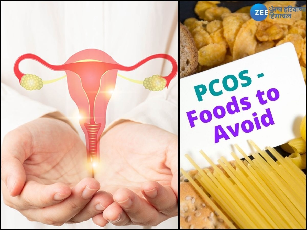  Foods to Avoid with PCOS: ਇਹ 5 ਭੋਜਨ ਖਾਣ ਨਾਲ PCOS ਦੀਆਂ ਸਮੱਸਿਆਵਾਂ ਵਧ ਸਕਦੀਆਂ ਹਨ, ਜਾਣੋ ਇਸਦੇ ਬਚਾਅ