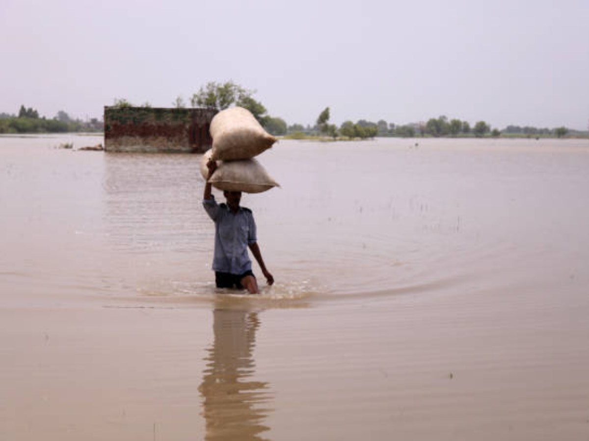 Sawai Madhopur Rain: राजस्थान में फिर मानसून सक्रीय, सवाई माधोपुर में झमाझम बारिश के बाद उफान पर नदी और नाले