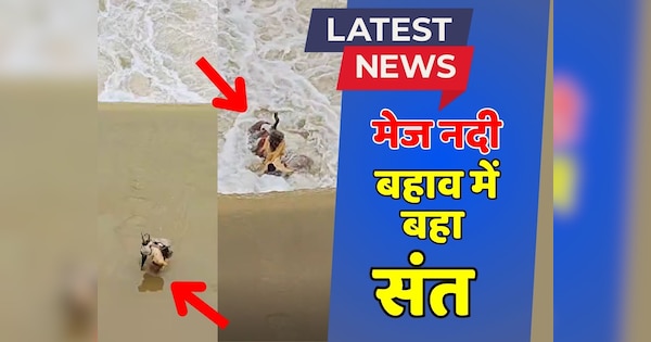 Bundi News Video of saint getting swept away while crossing bridge of Meja river goes viral | Bundi News: मेज नदी का विकराल रूप, देखते-देखते सैलाब में बह गया संत | Zee News Hindi