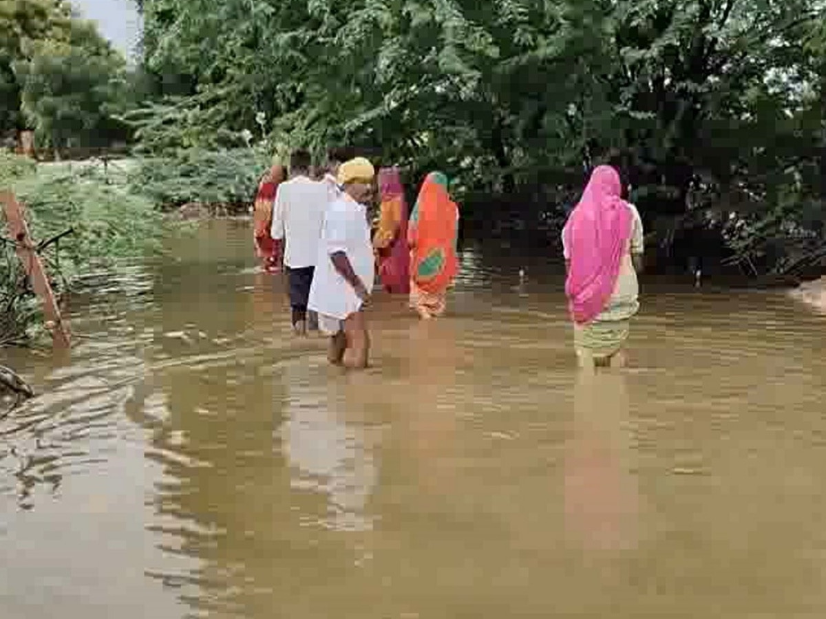 जहरीले पानी से बालोतरा जिले के लोगों का जीना हुआ दुश्वार, आये दिन मर रहे मवेशी व वन्यजीव