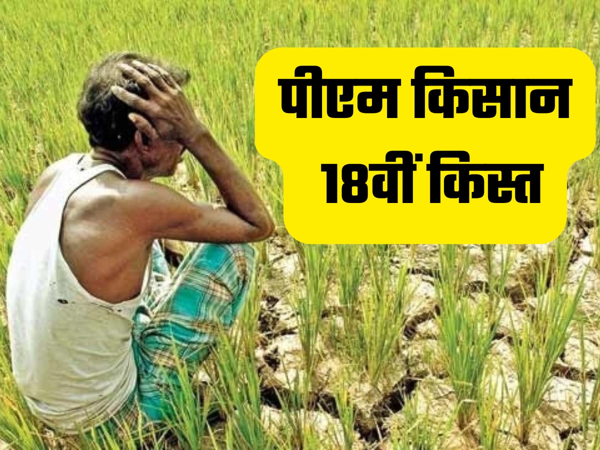 PM Kisan 18th Installment: