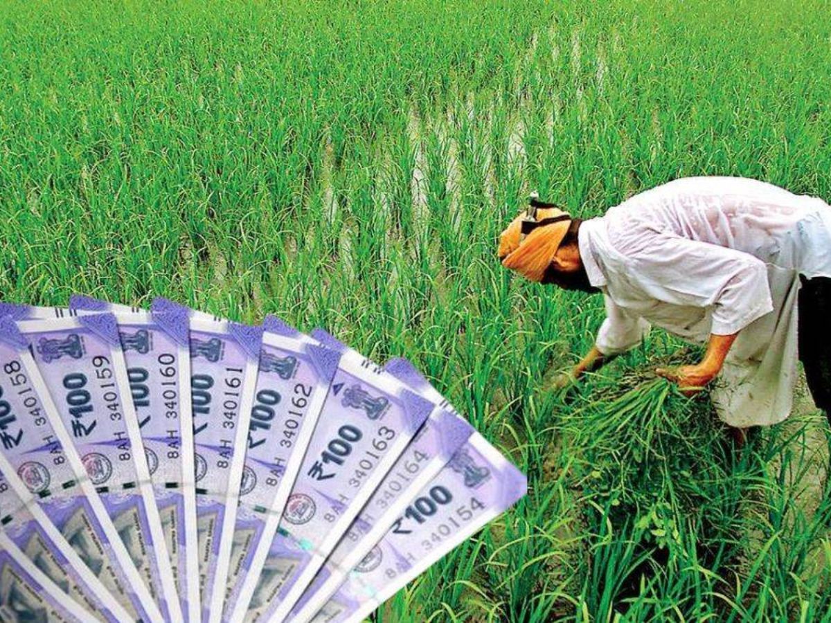 PM Kisan Yojana: 12 करोड़ किसानों को मिली खुशखबरी, इस तारीख को आएगी 2,000 रुपये की किस्त!