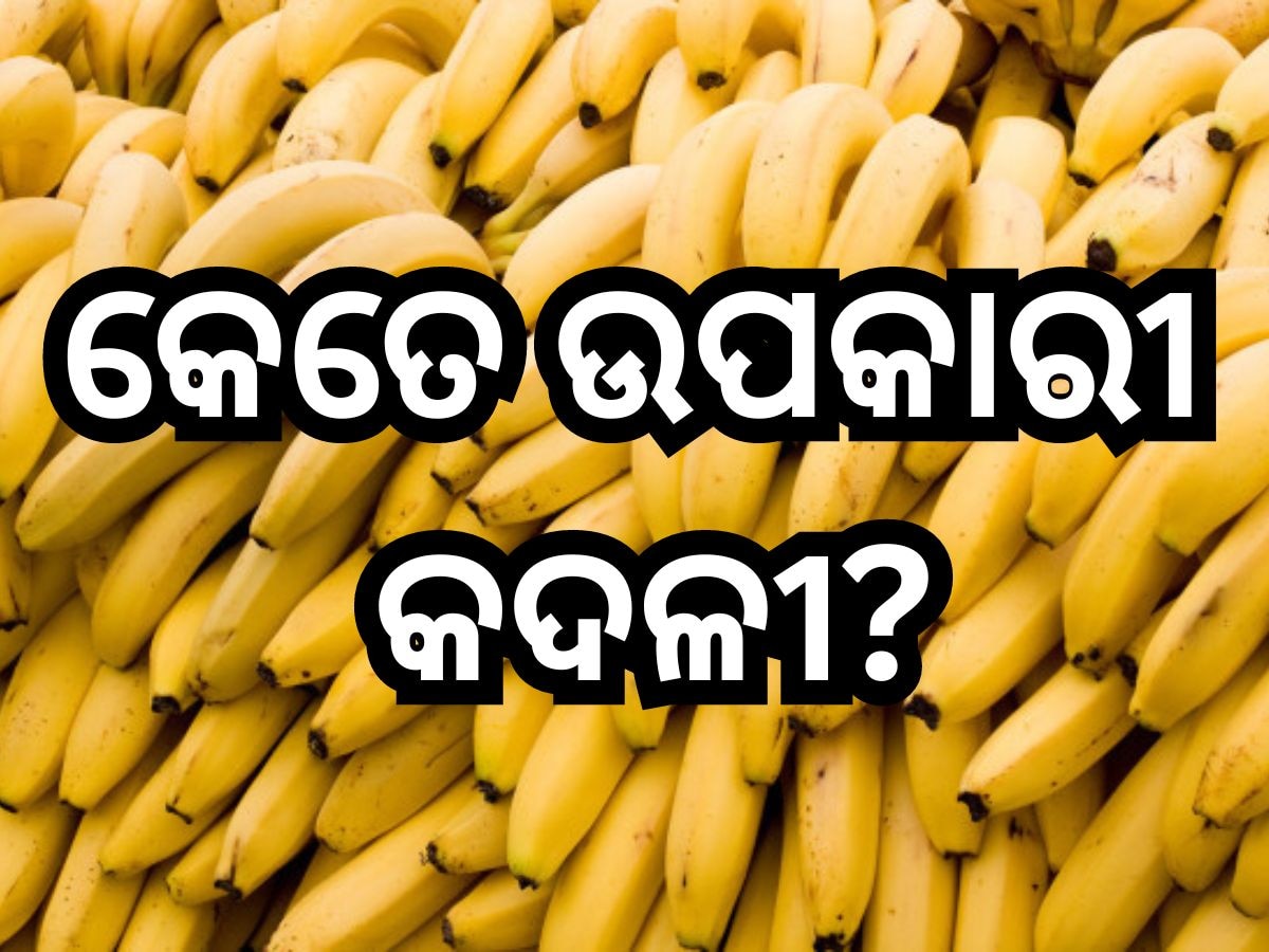 Health Tips: ପ୍ରତିଦିନ କଦଳୀ ଖାଇଲେ ମିଳେ ଶରୀରକୁ ଏହିସବୁ ଜବରଦସ୍ତ ଫାଇଦା