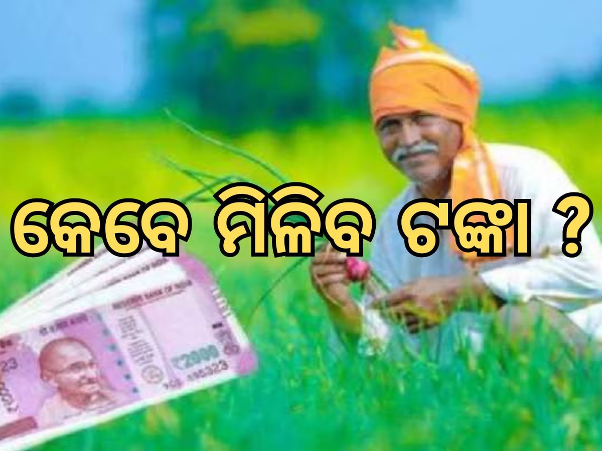 CM Kisan Instalment: କାଳିଆ ବଦଳରେ ସିଏମ୍‍ କିସାନ ଟଙ୍କା, ନୂଆଖାଇରେ ମିଳିବ କି ନା ମନ୍ତ୍ରୀ ବି ଅଜଣା!