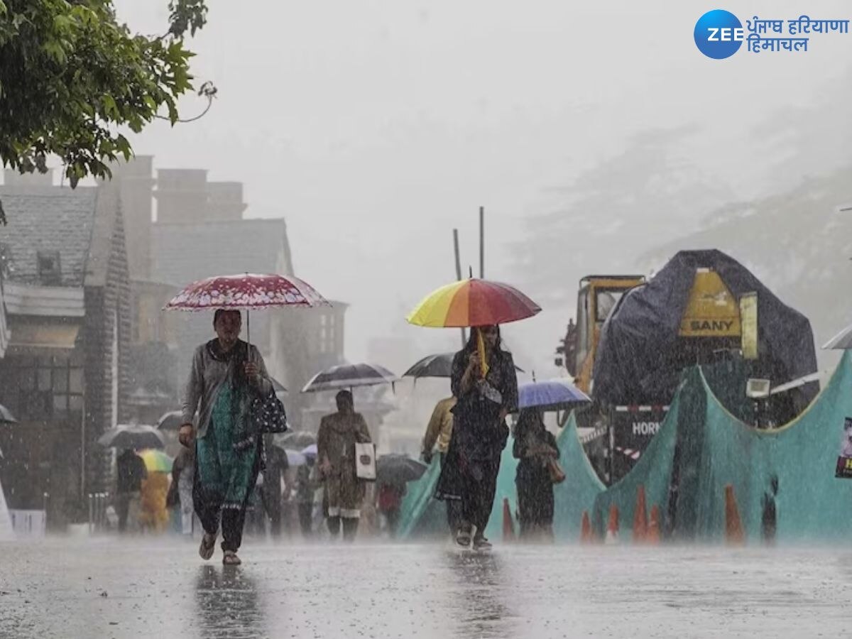 Weather Update Himachal Pradesh: हिमाचल प्रदेश में भारी बारिश जारी, शिमला में जगह-जगह गिरे पेड़