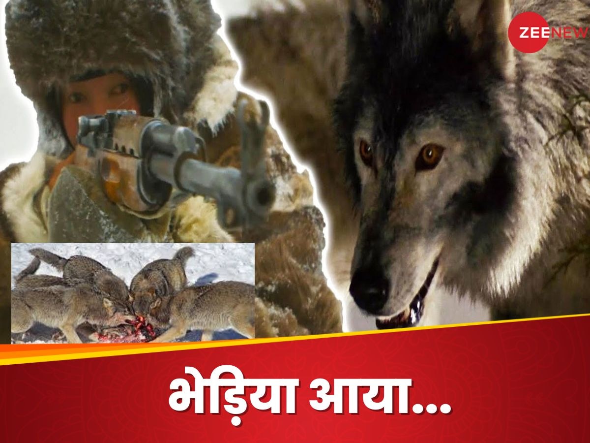 Bahraich Wolf attack : बहराइच छोड़िए, जब 400 आदमखोर भेड़ियों ने घेर ली थी इंसानी बस्ती, पढ़िए दुनिया के सबसे बड़े सुपर वुल्फ अटैक की कहानी