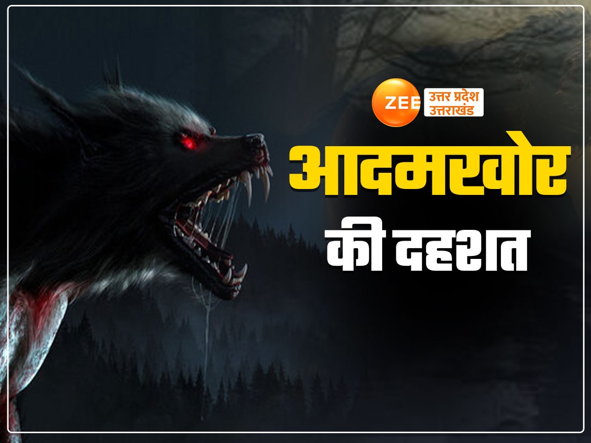 wolf attack in bahraich