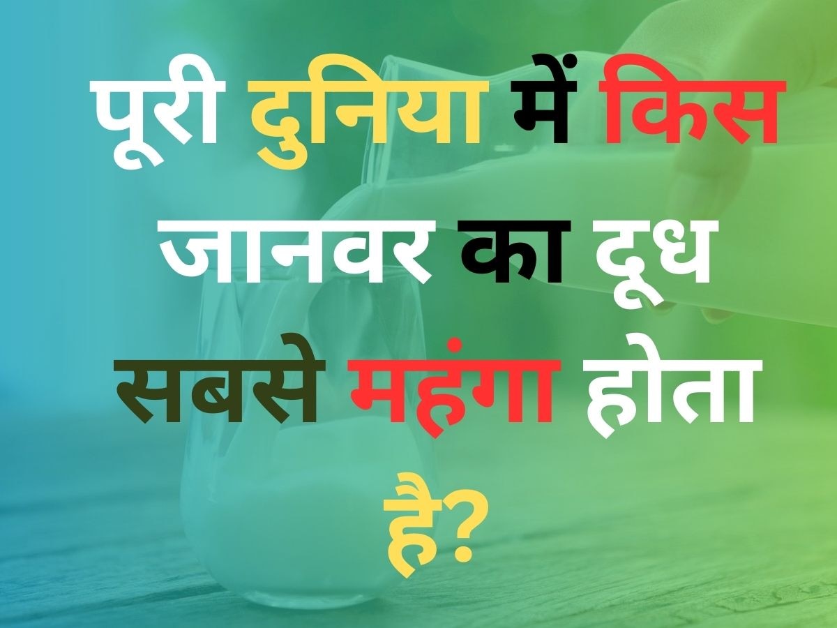 GK Quiz: दुनिया में किस जानवर का दूध सबसे महंगा होता है?